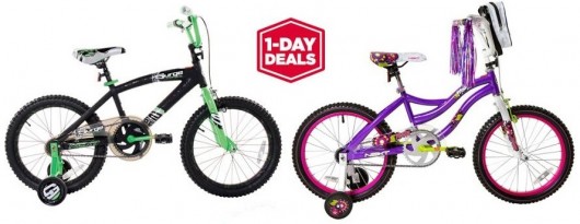 bike final